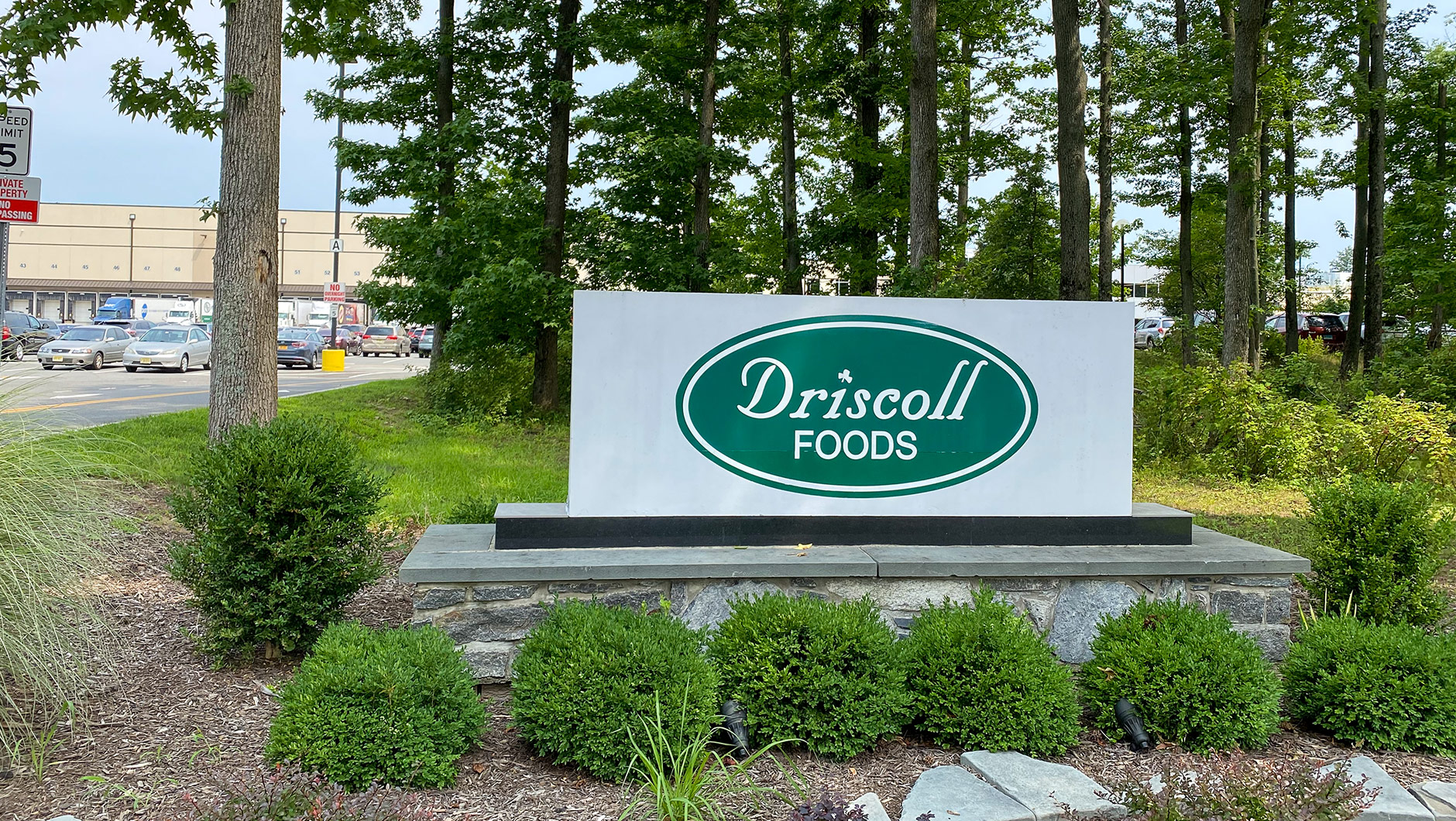 Driscoll