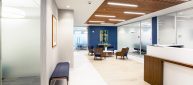 moodwall P2 glass office front