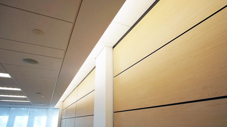 Novo Nordisk - A Modern Center of Innovation